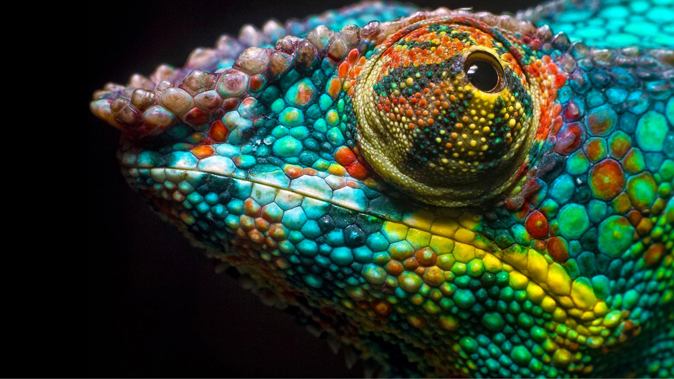 Ultra-HD clarity on a fine-pitch LED panel